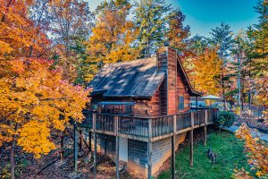 Back of Cabin